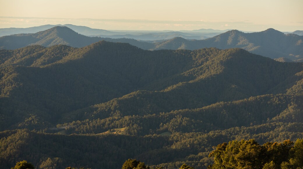 Griffiths Lookout