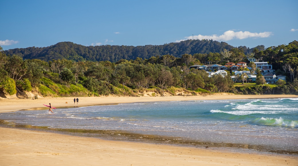 Little Diggers Beach which includes a beach and general coastal views