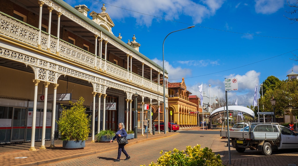 Armidale featuring a small town or village and street scenes