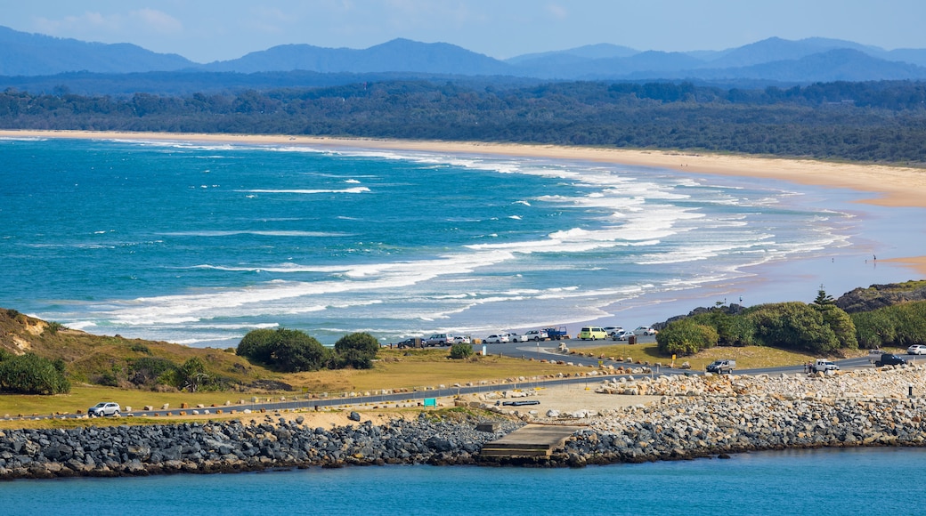 Muttonbird Island Nature Reserve