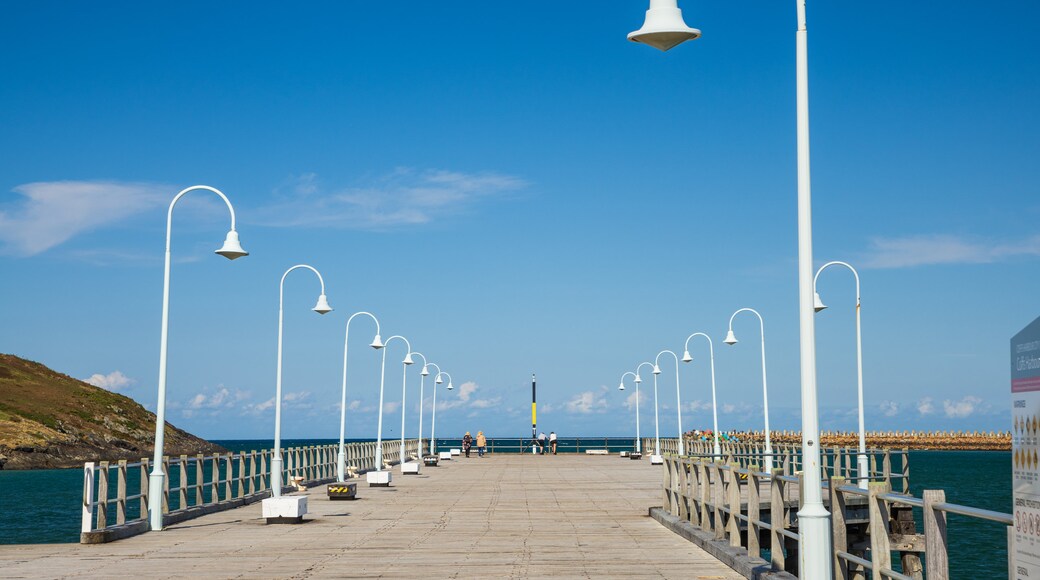 Coffs Jetty Pier which includes general coastal views