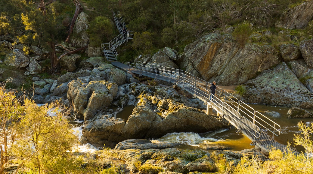 Wollomombi Falls which includes a river or creek and a bridge