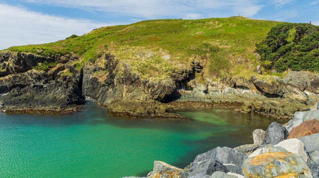 Muttonbird Island Nature Reserve