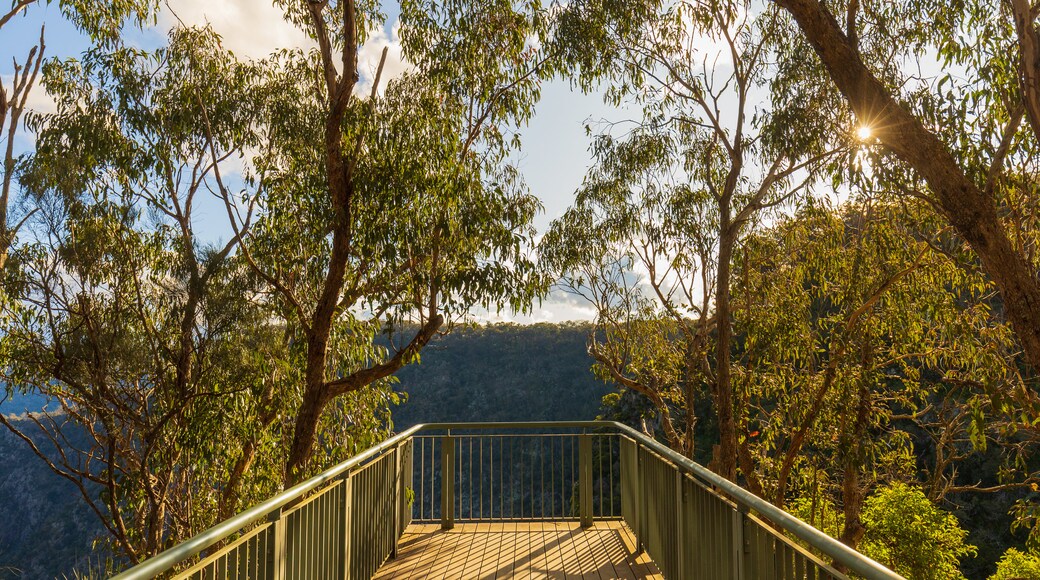 Wollomombi Falls which includes tranquil scenes and views