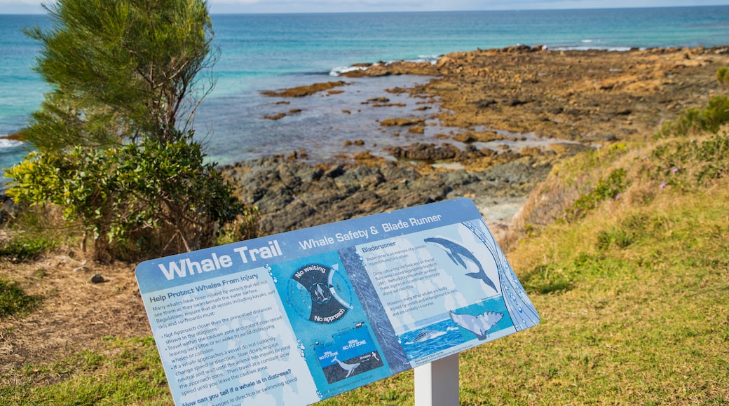 Woolgoolga Beach showing rugged coastline, signage and general coastal views