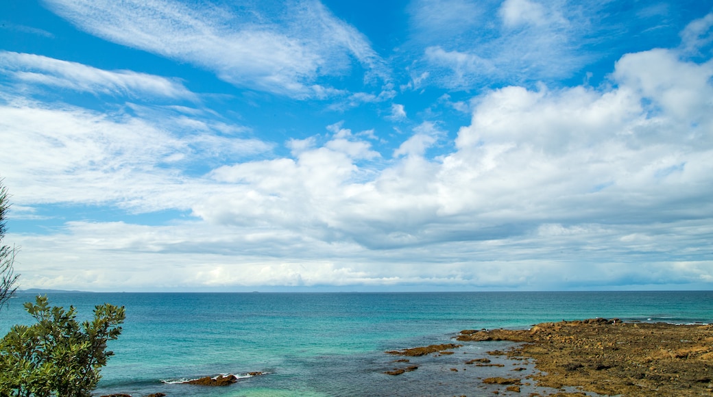 Woolgoolga Beach