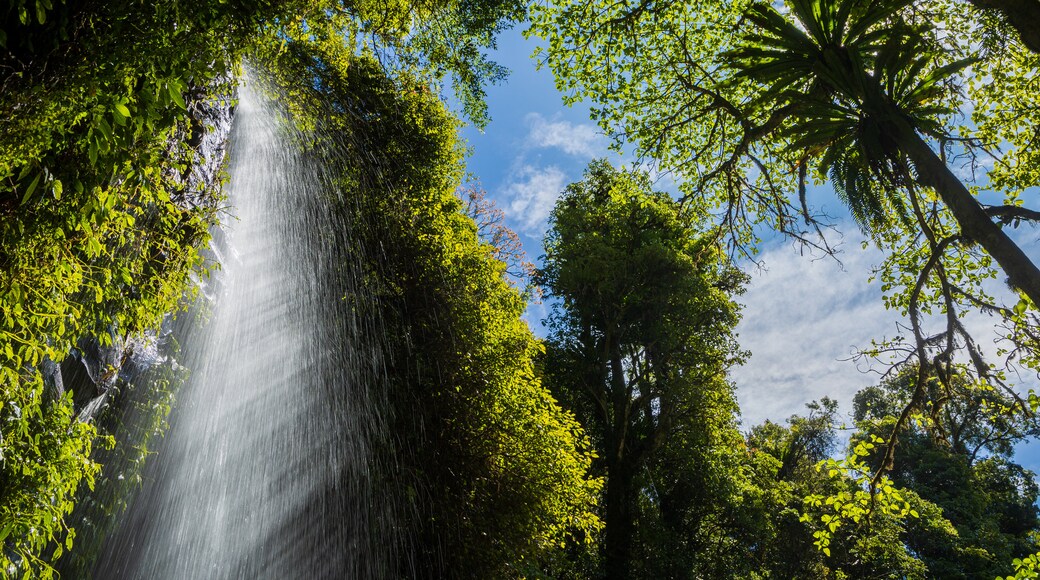 จุดเริ่มเส้นทางการเดิน Crystal Shower Falls