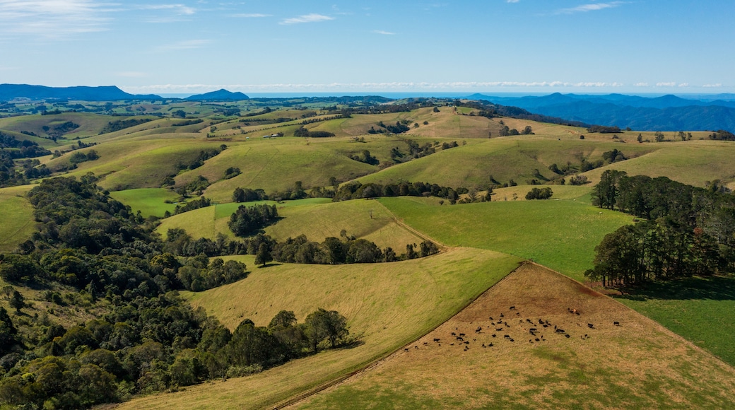 Sawtell featuring tranquil scenes and landscape views