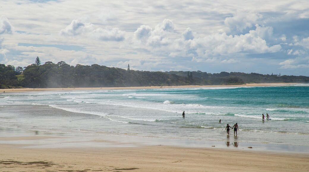 Woolgoolga Beach featuring general coastal views and a sandy beach