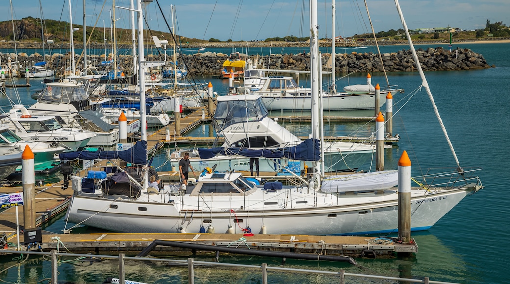 Coffs Harbour Marina showing a bay or harbor