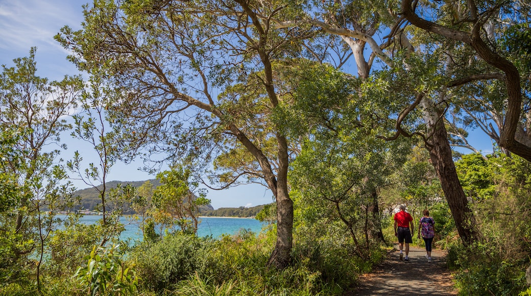 Shoal Bay