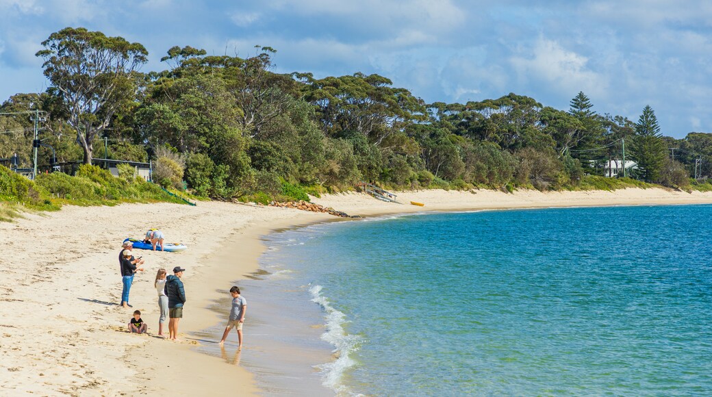 Shoal Bay Beach showing general coastal views and a beach as well as a family