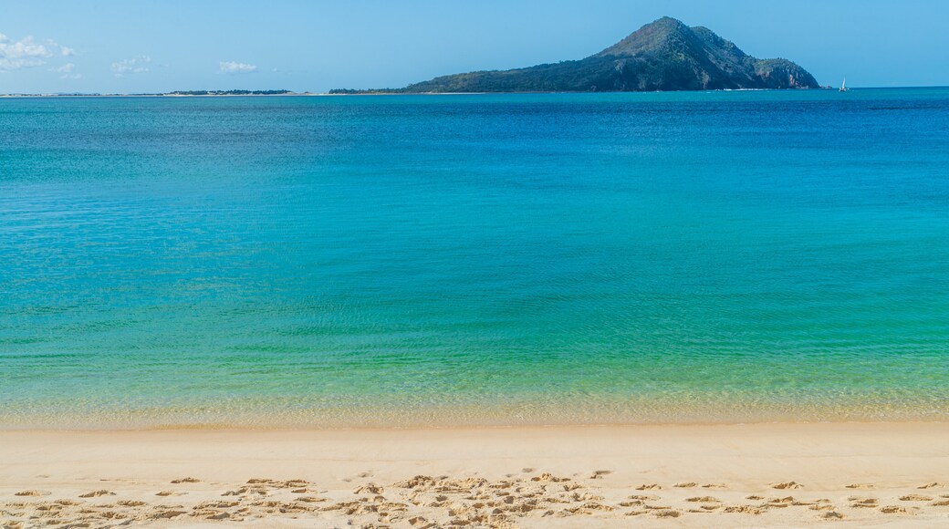 Shoal Bay Beach showing general coastal views, a beach and island images