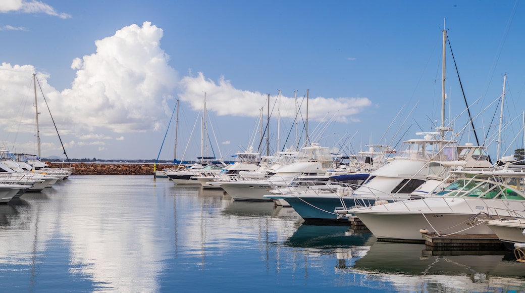 Nelson Bay showing a bay or harbor