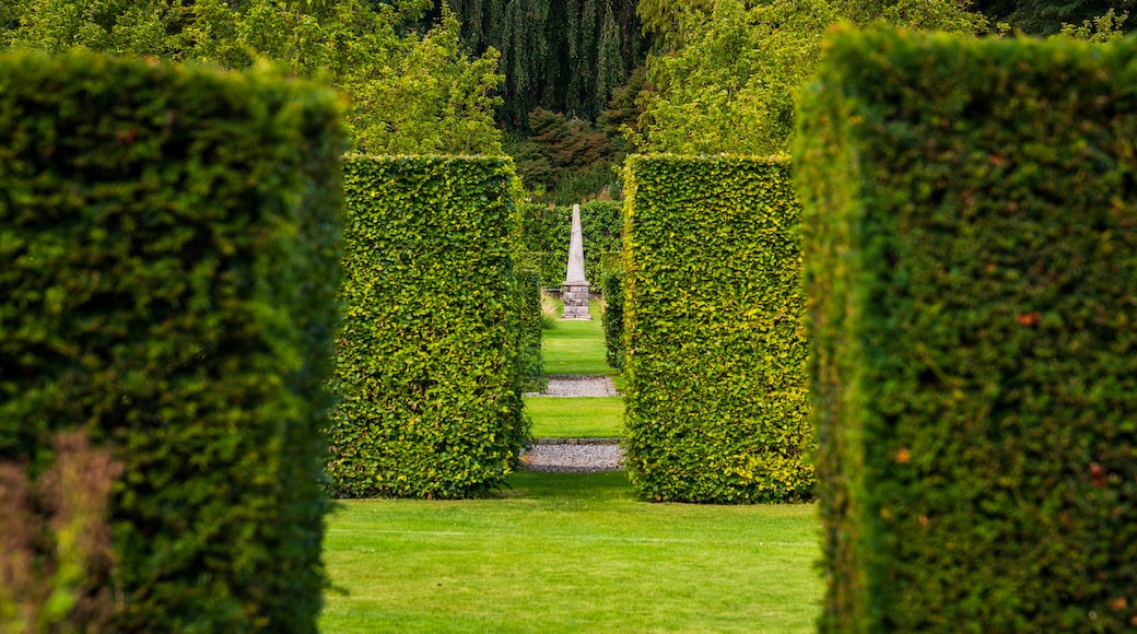 Glenarm Castle showing a garden