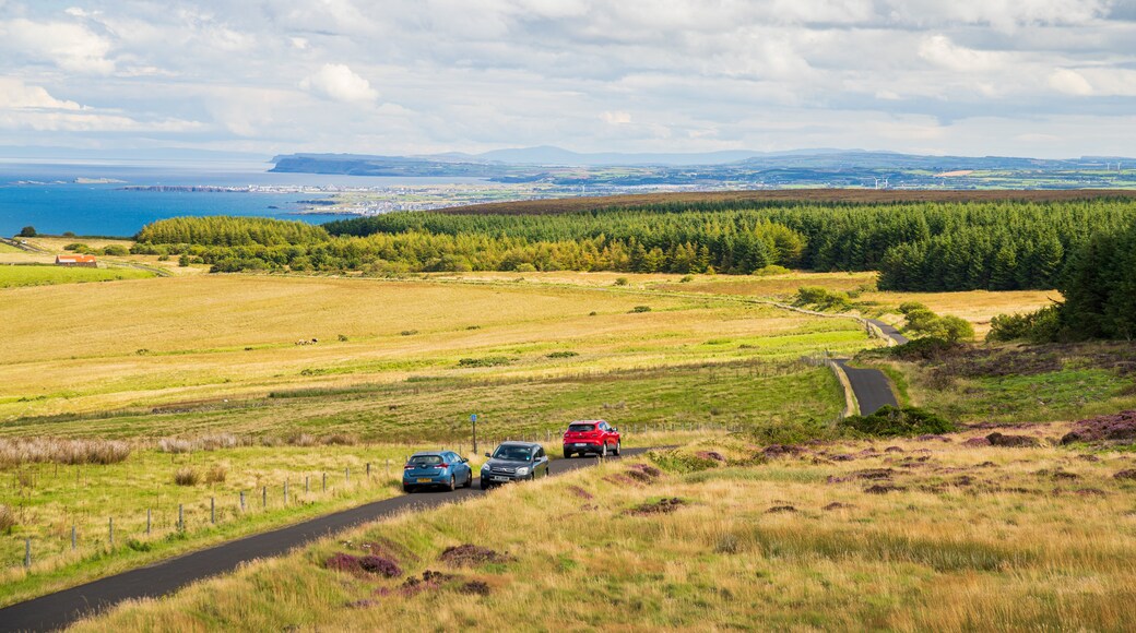 Binevenagh which includes tranquil scenes and 4 wheel driving