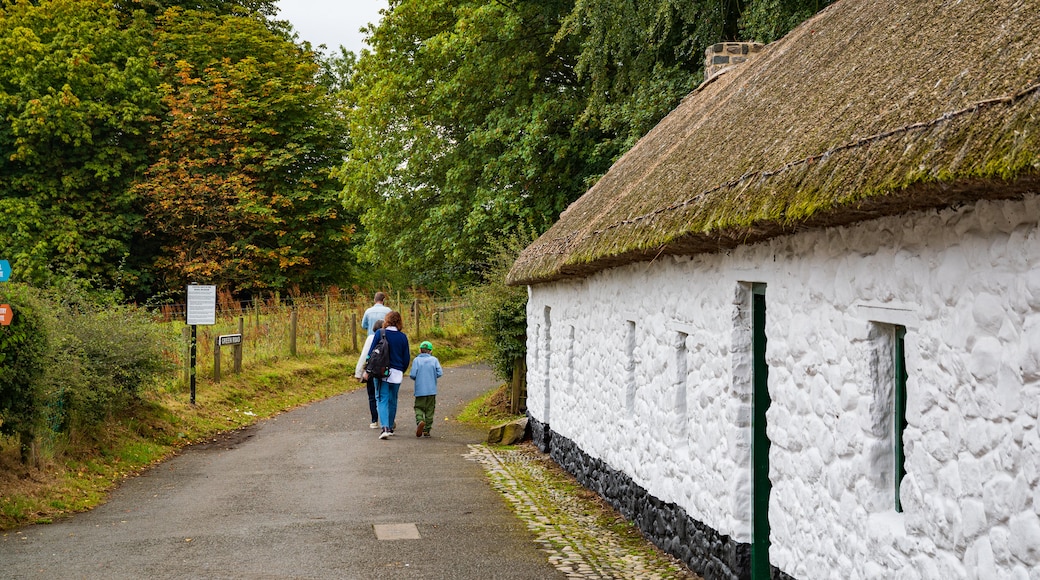 Ulster Folk and Transport Museum