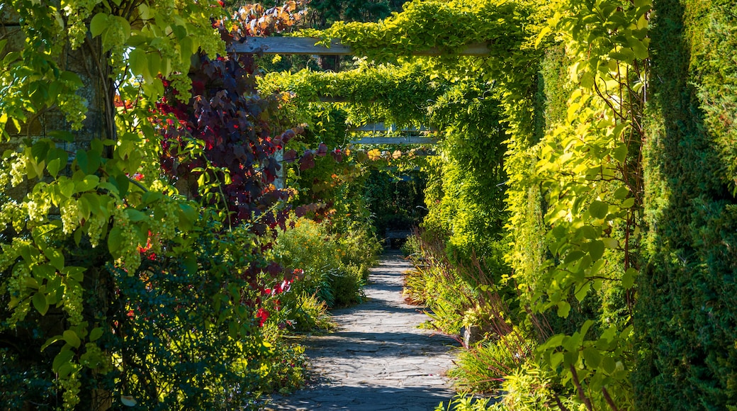 Ards and North Down featuring a garden