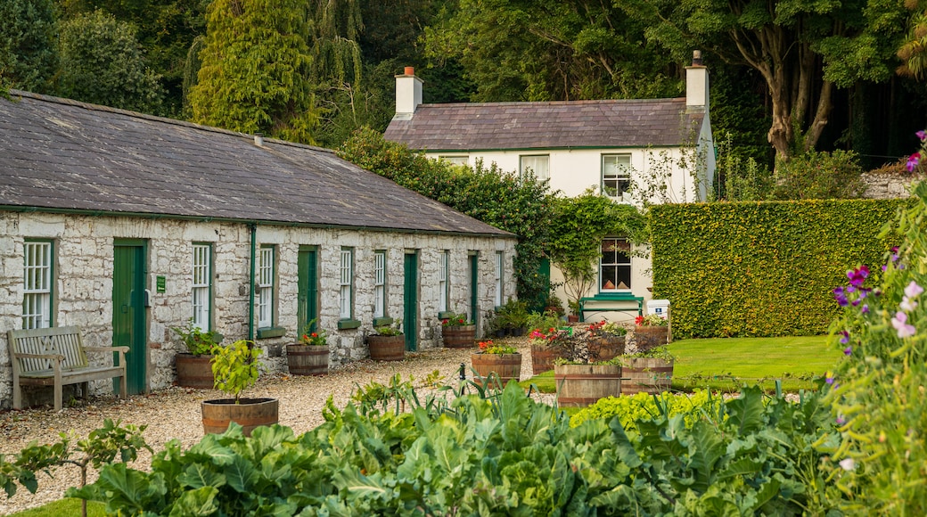 Glenarm Castle showing a park