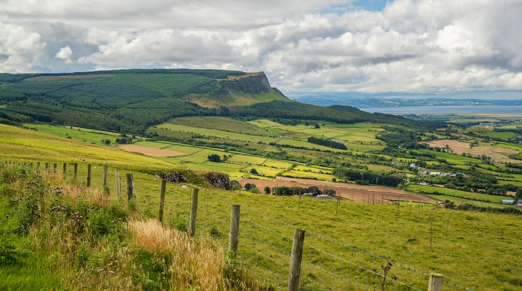 Binevenagh