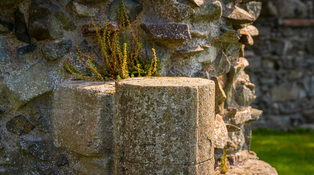 Inch Abbey