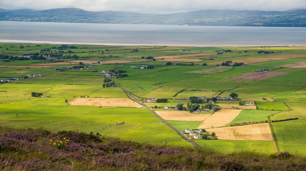 Binevenagh featuring landscape views and tranquil scenes