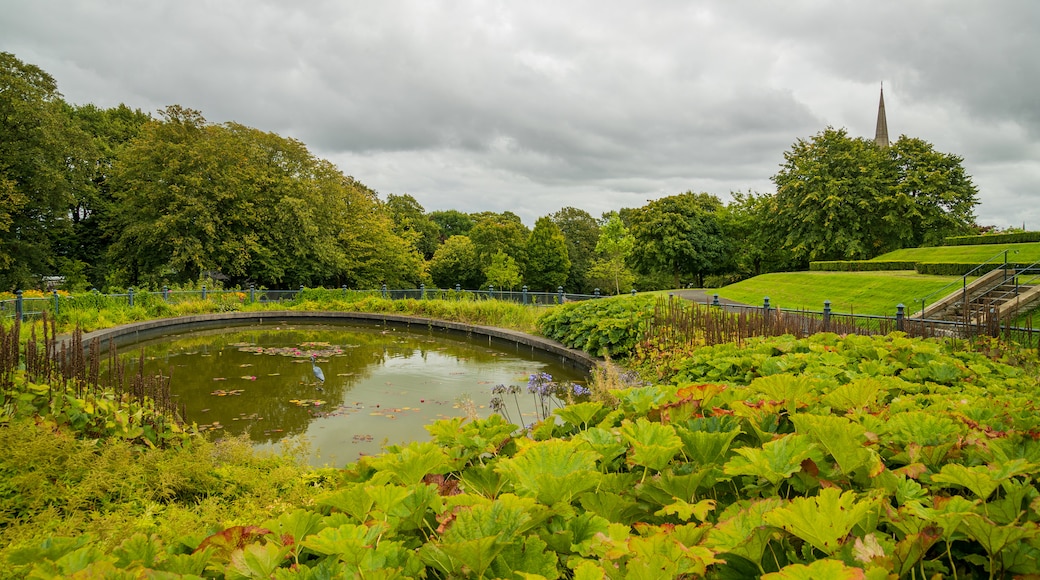 Brooke Park which includes a garden and a pond