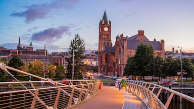 Peace Bridge which includes a sunset, a bridge and heritage architecture