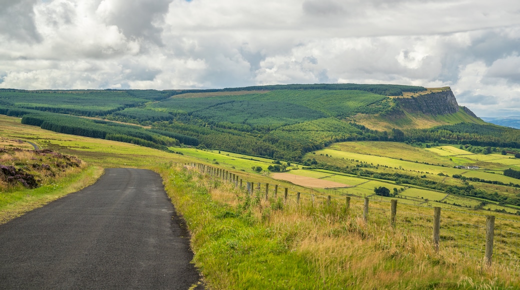 Binevenagh featuring tranquil scenes and landscape views