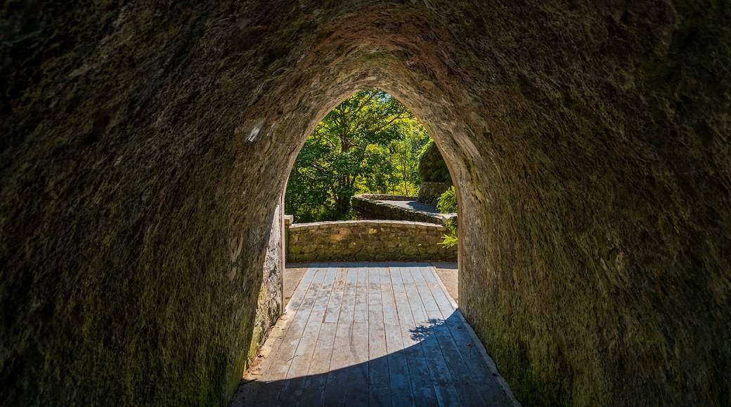 Tollymore Forest Park