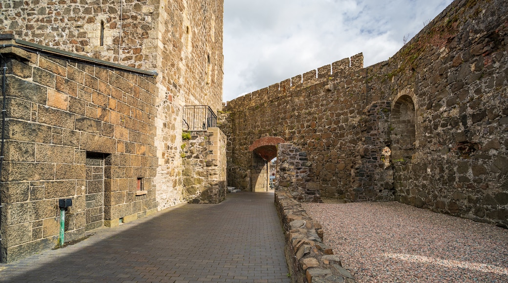 Kastil Carrickfergus