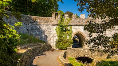 Tollymore Forest Park which includes heritage elements and chateau or palace