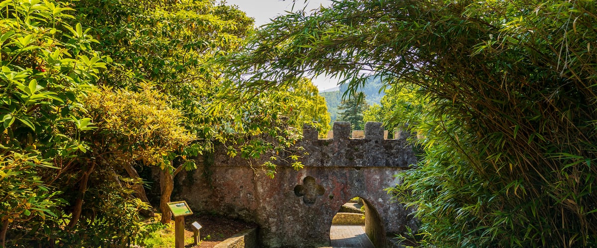 Tollymore Forest Park which includes chateau or palace and heritage elements