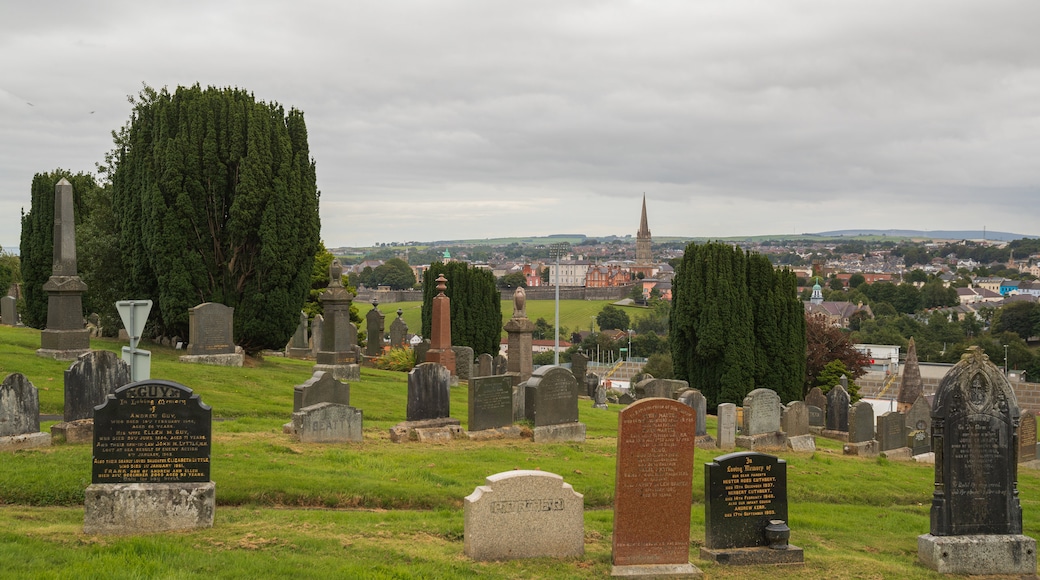 City Cemetery which includes a cemetery