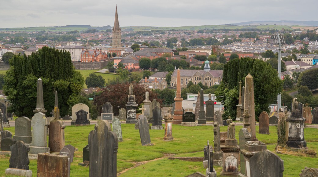 City Cemetery featuring a cemetery