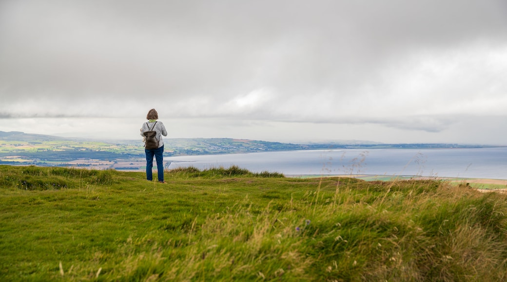 Binevenagh which includes general coastal views as well as an individual femail