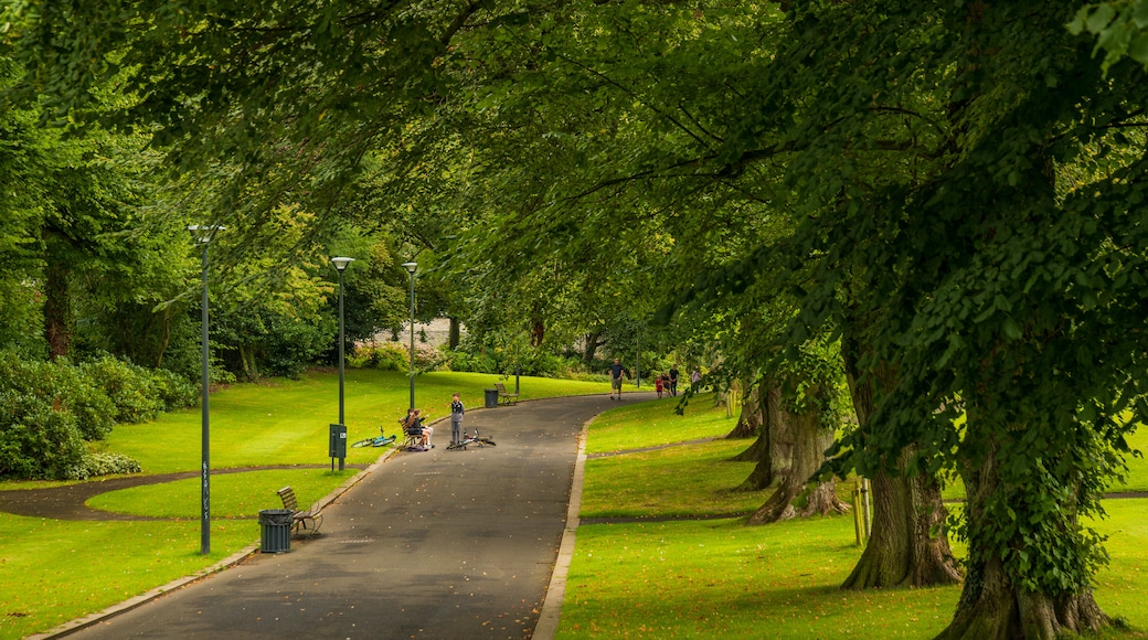 Brooke Park which includes a park