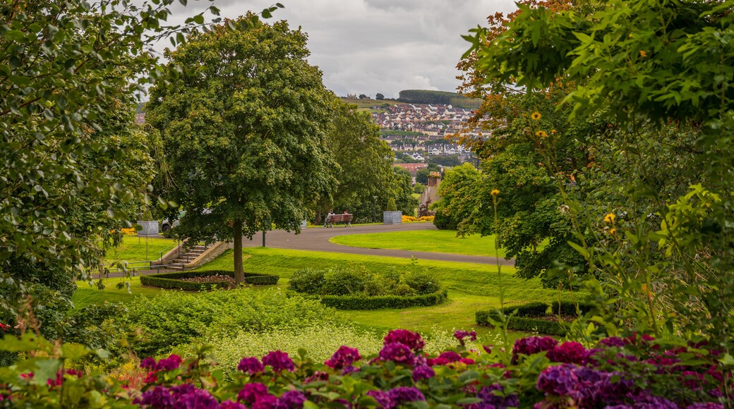 Brooke Park which includes flowers and a garden