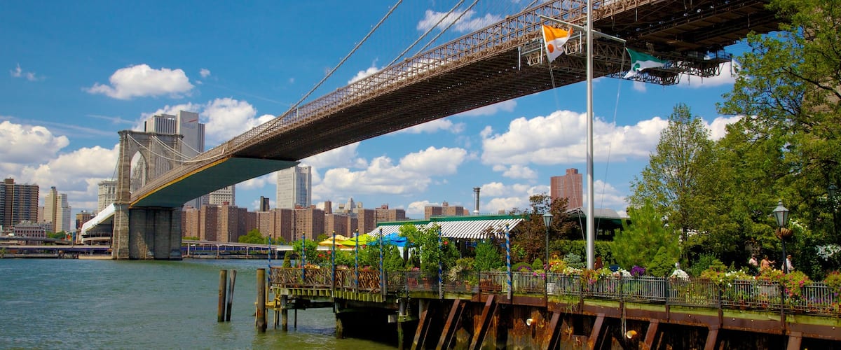 Parque de Brooklyn Bridge ofreciendo una ciudad, horizonte y un río o arroyo