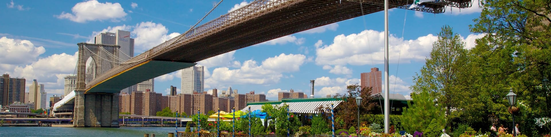 Brooklyn Bridge Park mit einem Skyline, Fluss oder Bach und Stadt