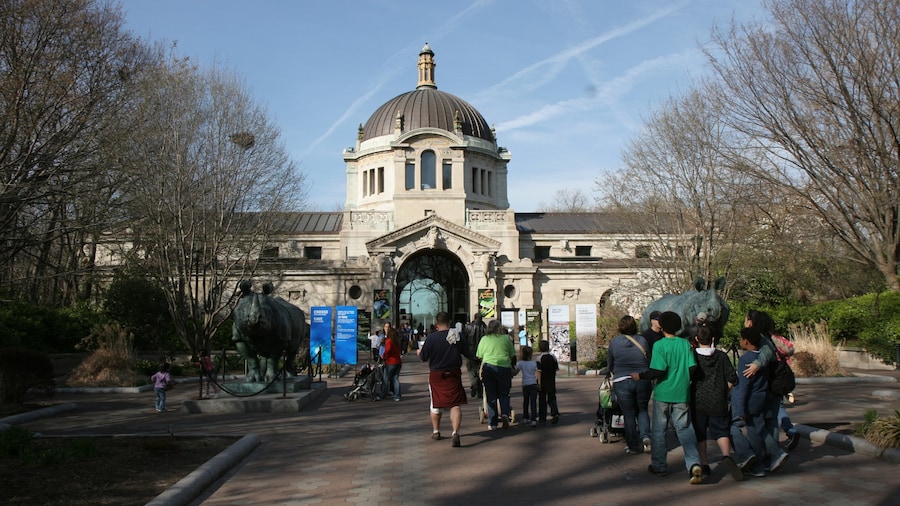 Bronx Zoo