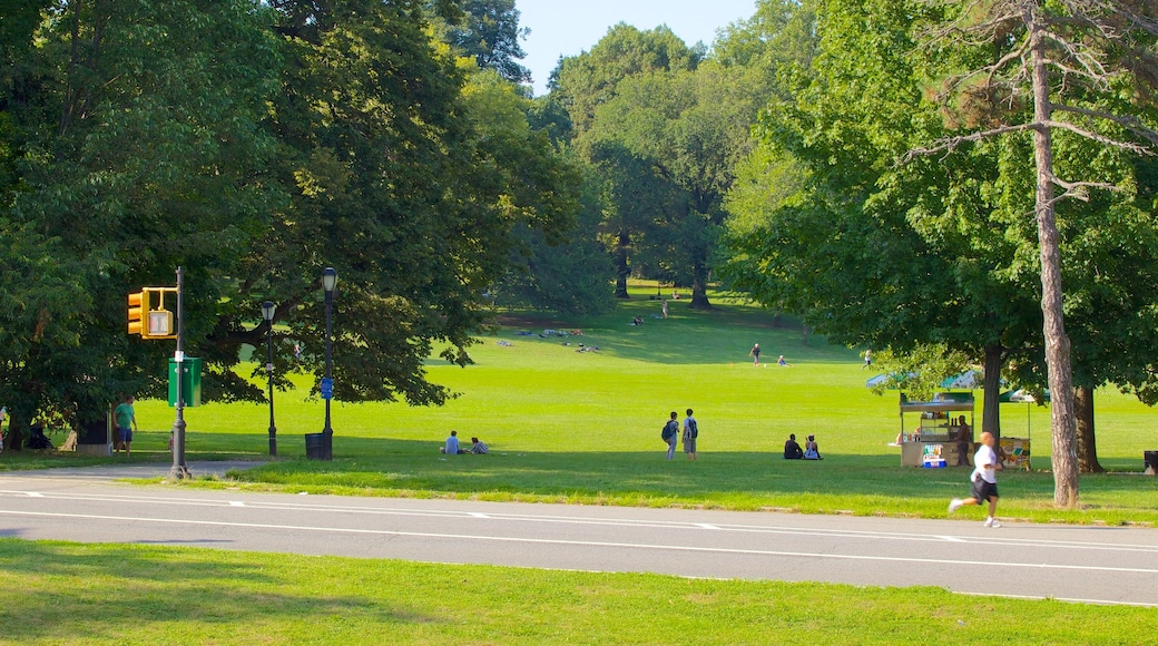 Prospect Park ofreciendo jardín