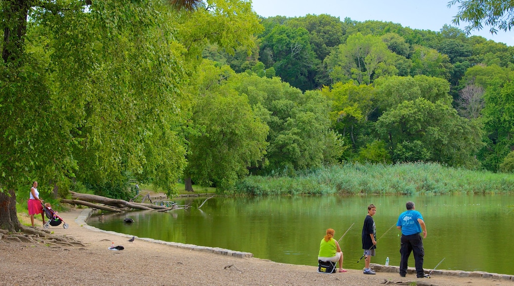 Prospect Park which includes a pond, a lake or waterhole and a garden