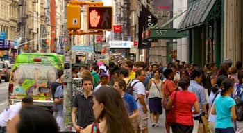 SoHo - Tribeca que inclui uma cidade e cenas de rua assim como um grande grupo de pessoas