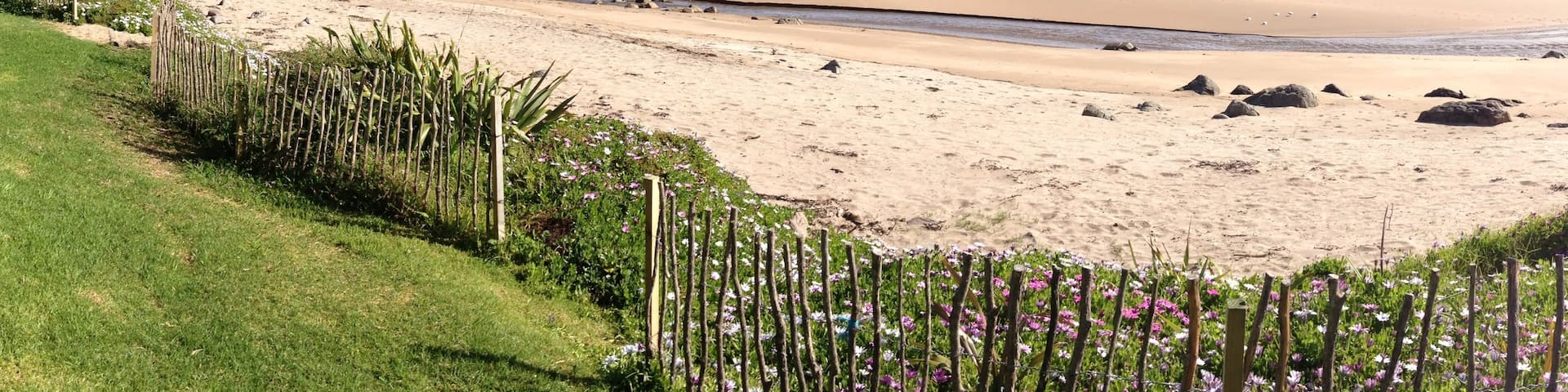 Hot Water Beach showing a sandy beach, landscape views and tropical scenes