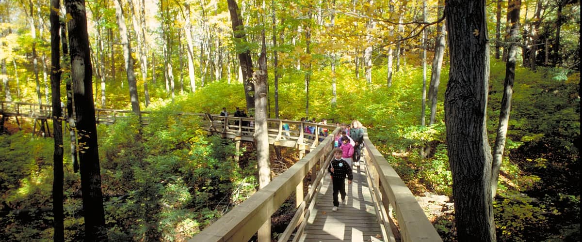 Kleinburg featuring a bridge and forests as well as children