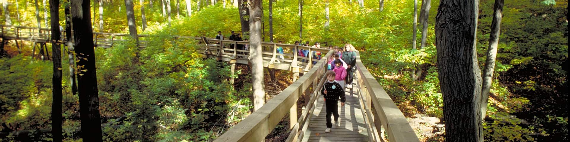 Kleinburg featuring a bridge and forests as well as children