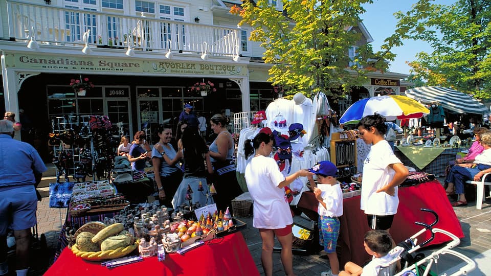 Kleinburg which includes markets as well as a large group of people
