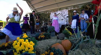 Kleinburg mostrando performance d\'arte, fiori e festival