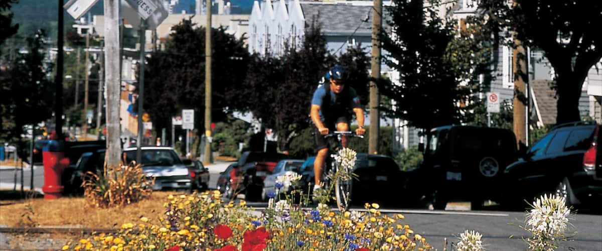 Kitsilano featuring street scenes, flowers and road cycling